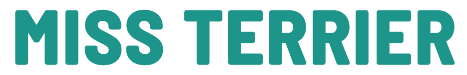 Miss Terrier - akcesoria nosework